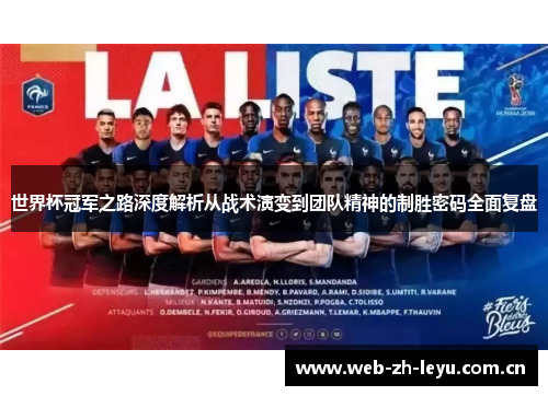 世界杯冠军之路深度解析从战术演变到团队精神的制胜密码全面复盘